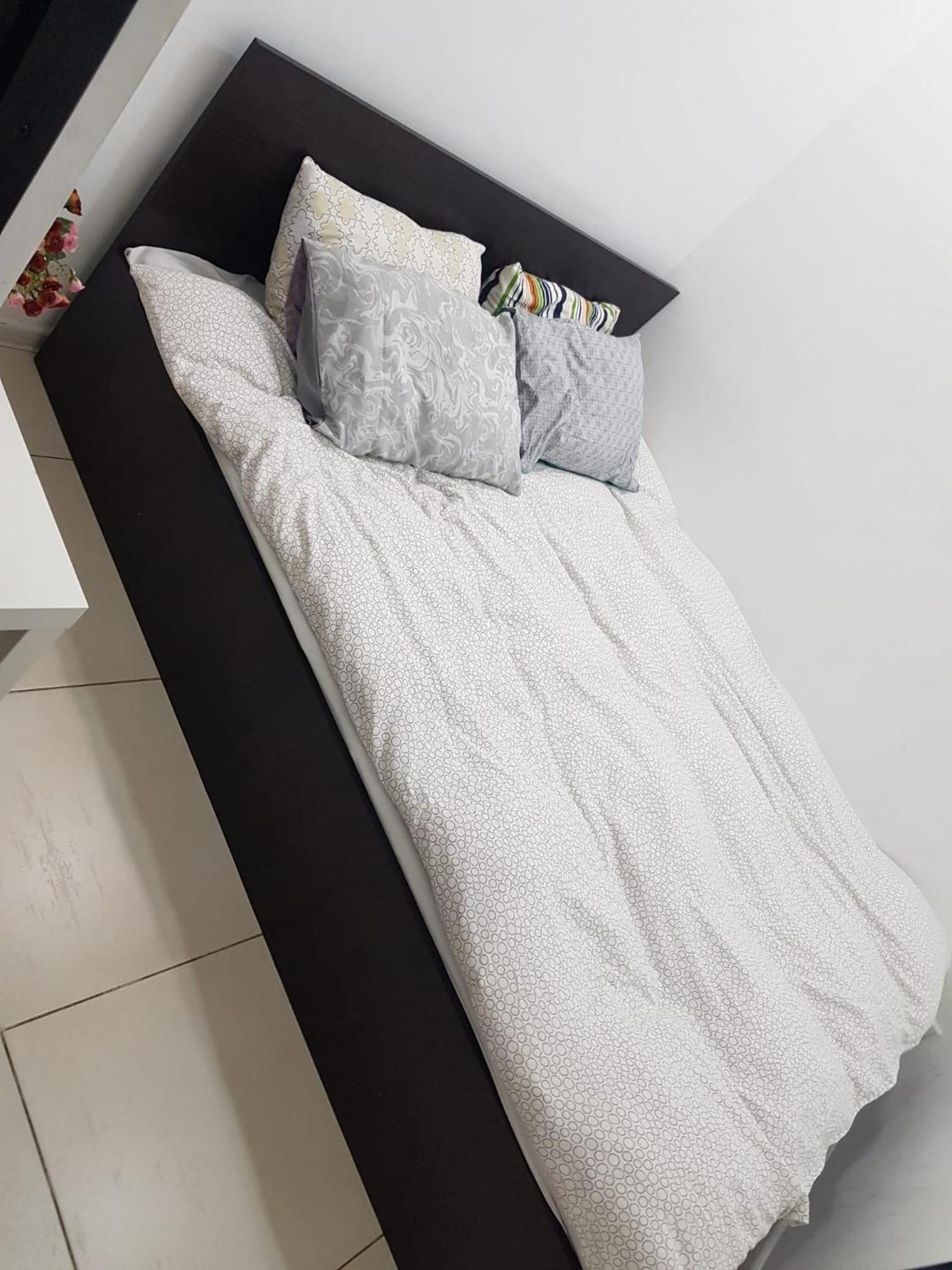 蒂米什瓦拉Apartament Josefin公寓 外观 照片