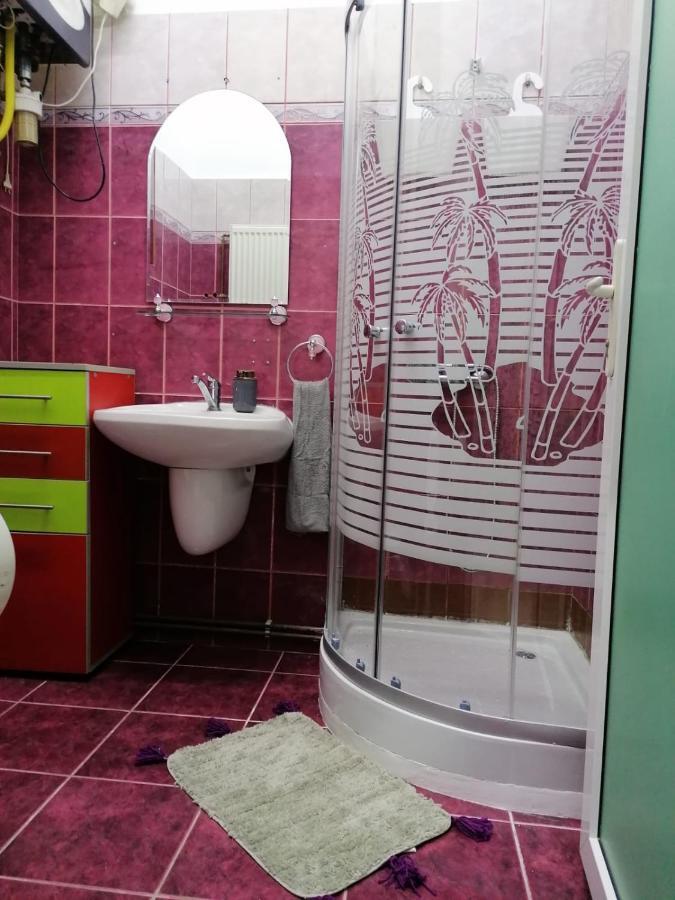 蒂米什瓦拉Apartament Josefin公寓 外观 照片